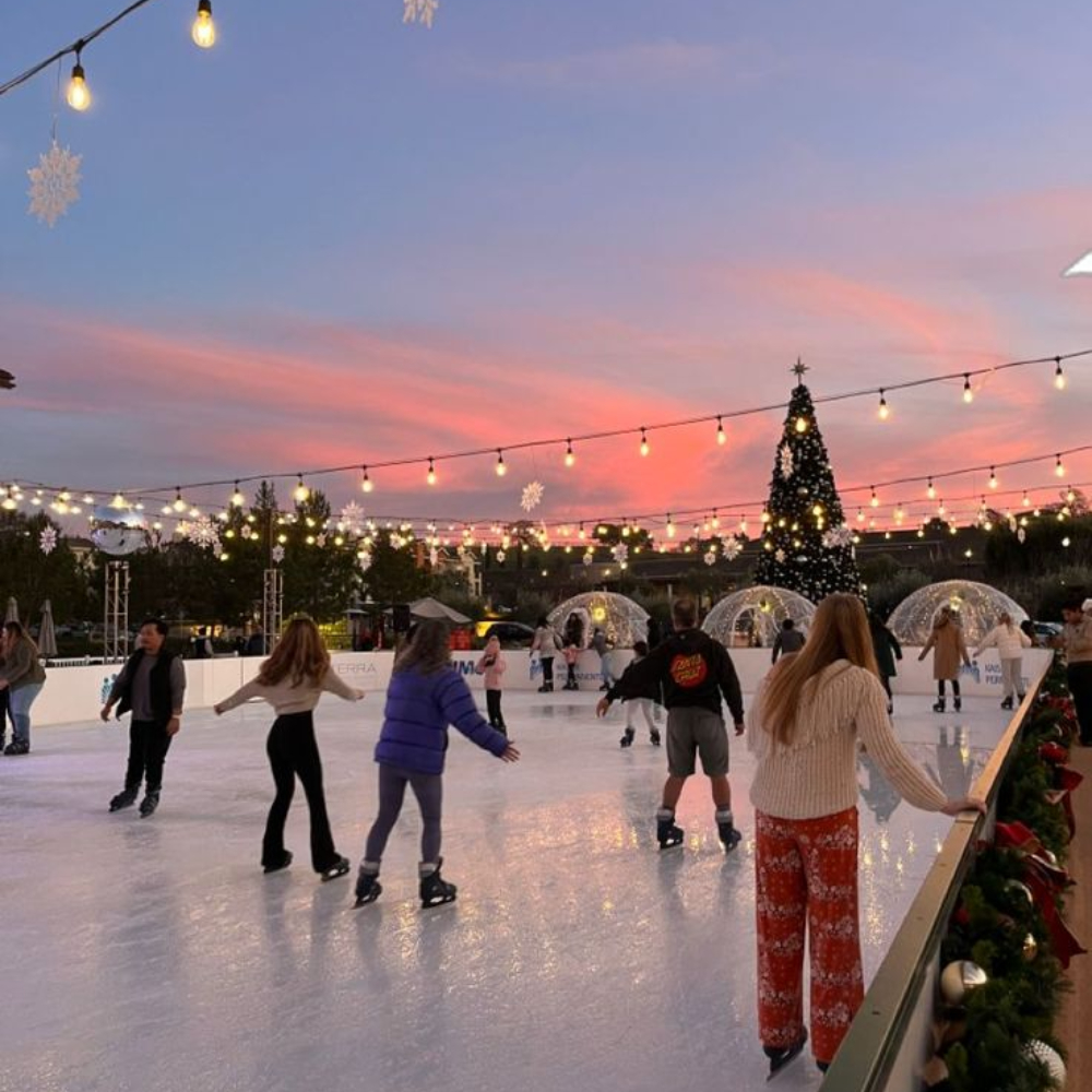 Ice skating